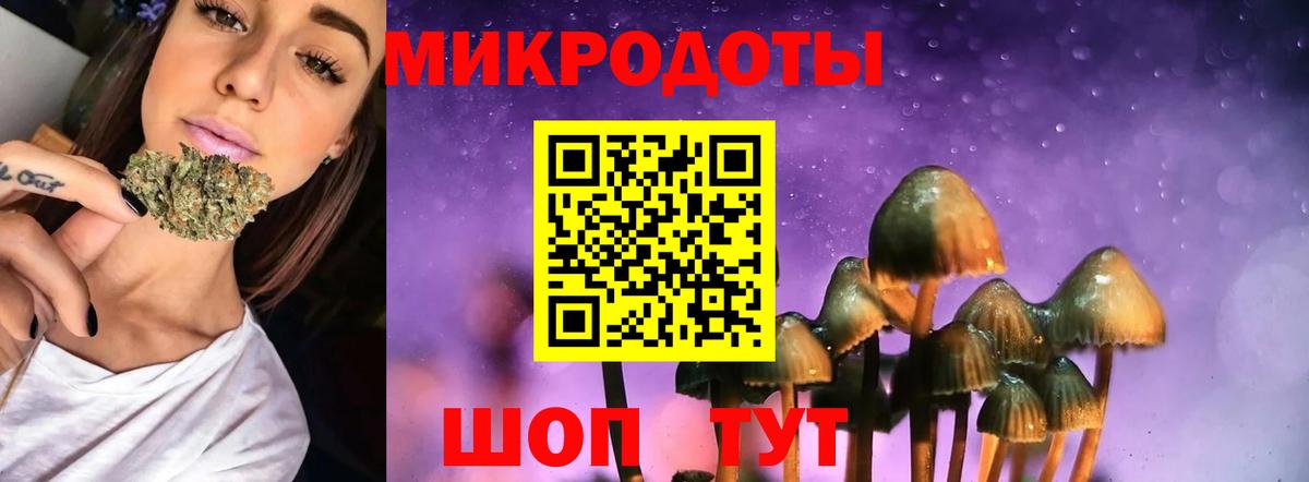 Зеленокумск  хочу наркоту  Псилоцибиновые грибы ЛСД  Вход с VPN  Галлюциногенные грибы GOLDEN TEACHER 